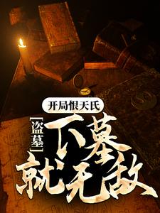 苏晨小说《盗墓：开局恨天氏，下墓就无敌》在线阅读