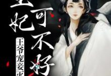 完结版《王爷宠妾灭妻，王妃可不好惹》免费阅读-艾米文学