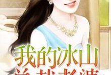 我的冰山总裁老婆这本小说怎么样？免费在线阅读试试-艾米文学