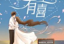 小说《合约夫妇之一笙有喜》章节阅读-艾米文学
