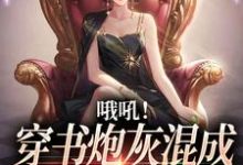 《哦吼!穿书炮灰混成书中万人迷了》全集免费在线阅读( 舒悦傅景深)-艾米文学
