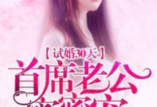 沈清欢温敬舟是哪本书的主角?寻找试婚30天:首席老公蜜蜜宠免费阅读-艾米文学