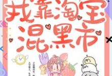 主角叫赵雨笙宋安懿小说回到六零,我靠淘宝混黑市章节免费阅读-艾米文学