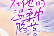 已完结小说《在他的温柔中陷落》在线章节阅读-艾米文学