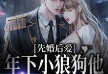 先婚后爱：年下小狼狗他占有欲超强最新章节，先婚后爱：年下小狼狗他占有欲超强章节在线阅读-艾米文学