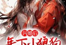 免费阅读琅斐沈清棠为主角的小说,闪婚后,年下小狼狗不装了在线看-艾米文学