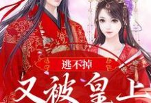 主角叫萧玥萧珩的小说在哪阅读-艾米文学