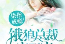 《染指成瘾：饿狼总裁宠到底》小说主角夏望莫斯南莫梵洛章节章节免费在线阅读-艾米文学