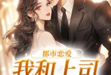都市恋爱:我和上司he了小说,都市恋爱:我和上司he了章节在线阅读-艾米文学