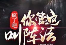 疯了吧!你管这叫阵法?孟楠在线章节免费阅读-艾米文学