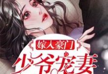 嫁入豪门：少爷宠妻无节制！最新章节，嫁入豪门：少爷宠妻无节制！免费阅读-艾米文学