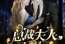 《总裁,夫人又飘了》小说章节列表免费试读,陆青柠战廷东小说在线阅读-艾米文学