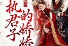 姜姝窈沈韫玉为主角的小说强取豪夺:偏执君子的娇娇在线阅读-艾米文学