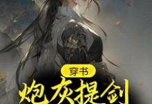 哪里能找到穿书：炮灰提剑杀九州，震惊天道小说的全部章节？-艾米文学