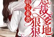 主角陆晚慕慎行小说萌宝来袭，总裁爹地狠狠宠！免费阅读-艾米文学