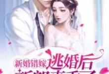 宋蕴蕴江曜景小说在哪里可以看-艾米文学