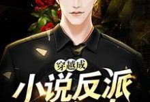 小说《穿越成小说反派怎么办》在线章节阅读-艾米文学