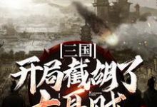 三国:开局截胡了大耳贼 刘磐貂蝉小说大结局免费试读-艾米文学