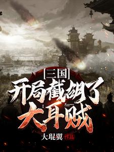 三国：开局截胡了大耳贼 刘磐貂蝉小说大结局免费试读
