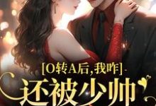 小说《O转A后,我咋还被少帅强取豪夺了》章节免费阅读-艾米文学
