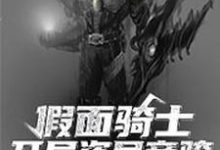 想读夜流风的故事，哪里可以免费找到假面骑士：开局盗号帝骑？-艾米文学