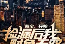 鉴宝：开始捡漏后我财色无双免费阅读，鉴宝：开始捡漏后我财色无双林枫温婉晴-艾米文学