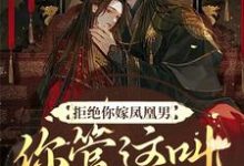 拒绝你嫁凤凰男,你管这叫恶人?主角阮云罗小说完结版章节在线阅读-艾米文学