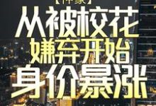 神豪：从被校花嫌弃开始身价暴涨陈凡赵琳琳小说免费阅读-艾米文学