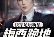 《快穿足坛新星,梅西跪地求放过》全集免费在线阅读(江浩)-艾米文学