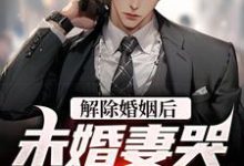 哪里能找到解除婚姻后,未婚妻哭着求复合小说的最新更新和免费章节?-艾米文学