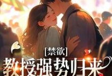 主人公叫 时宁靳宴的小说哪里免费看-艾米文学