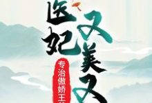 《医妃又美又飒，专治傲娇王爷》小说大结局免费试读 魏紫风澹渊小说-艾米文学