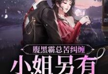 《腹黑霸总苦纠缠，小姐另有心上人》小说大结局免费试读 陆慎司沈漾小说-艾米文学