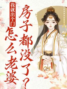 宋知婉萧长风为主角的小说好看吗？免费读我就出个门，怎么老婆房子都没了？