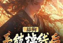 主人公苏乞小说舔狗系统掉线后，我被娇宠了在线章节阅读-艾米文学