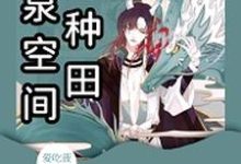 江辰系统，小红花小说叫什么（灵泉空间来种田免费阅读）-艾米文学