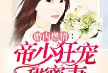 婚内燃情:帝少狂宠甜蜜妻这本小说完结了吗?免费查看最新章节-艾米文学