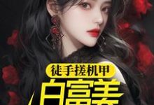 徒手搓机甲,白富美女神惊呆了徐帆王艺雪在线章节免费阅读-艾米文学