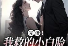 主角叫沈听晚裴清礼的小说在哪阅读-艾米文学