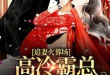 白鹭季屿川为主角的小说好看吗?免费读追妻火葬场:高冷霸总跪求我复合-艾米文学
