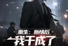 重生:断情后,我干成了商业大亨小说最新更新在哪里?免费在线看-艾米文学