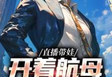 直播带娃,开着航母过家家这本小说完结了吗?免费查看最新章节-艾米文学