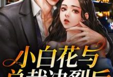 主角沈宜周从谨小说完结版在线阅读，小白花与总裁决裂后，他后悔疯了免费看-艾米文学