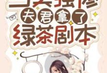 赵漾宁睿为主角的小说好看吗？求当美强惨夫君拿了绿茶剧本免费试读-艾米文学