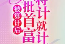 已完结小说《被算计后，疯批首富将计就计了》最新章节-艾米文学