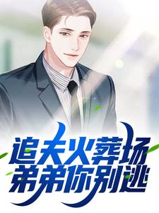 完结版《追夫火葬场！弟弟你别逃》章节目录在线阅读