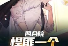 小说《四合院：悍匪一个，谁都别惹我》在线章节阅读-艾米文学