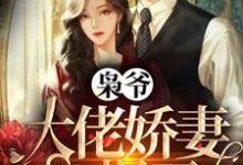 小说《枭爷,大佬娇妻A爆了》章节阅读-艾米文学