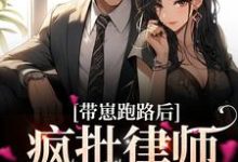 完结版《带崽跑路后,疯批律师急哭了》章节阅读-艾米文学