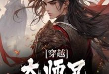 穿越:大师兄他总空耳!免费阅读,穿越:大师兄他总空耳!韩枫-艾米文学